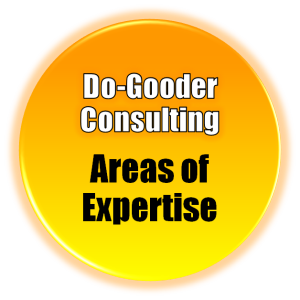 Do Gooder Consulting Areas of Expertise button